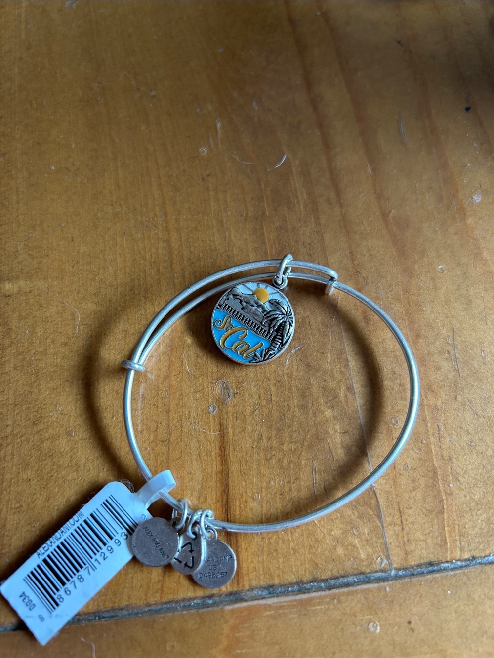 Alex and Ani Silver SoCal Charm Bangle with Blue & Yellow Enamel - Picture 1 of 3